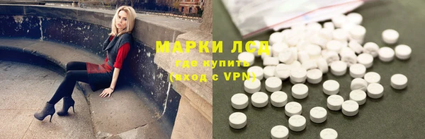 хмурый Алексин