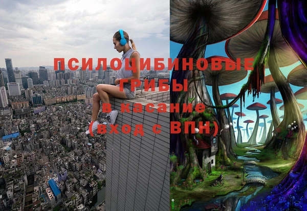 мяу мяу мука Абдулино