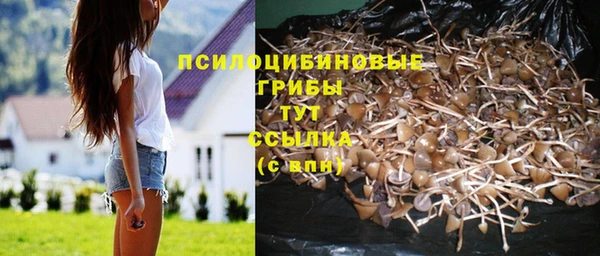 хмурый Алексин