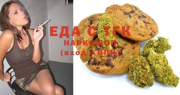 хмурый Алексин