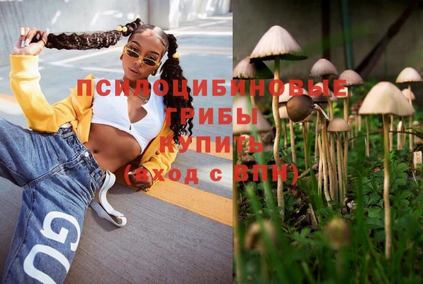 бутират Аркадак